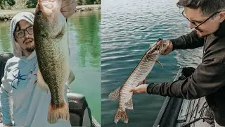 Drop Shot Rig Catches Them All - Summertime Finesse Fishing in Washington State - Lake Tapps
