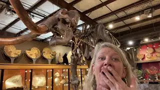 ONE OF A KIND! @ GeoWorld #tucsongemshow