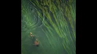 wallace cleaver & selug + luther type beat - au rythme des vagues, partie 1 (prod. aurore. & ashura)