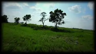 Late Summer FPV flight (Acro mode)