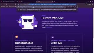 Running API Portal in a “production ready” docker container