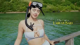 LABUAN BAJO | Pertama kali nyobain snorkeling di pulau manjarite