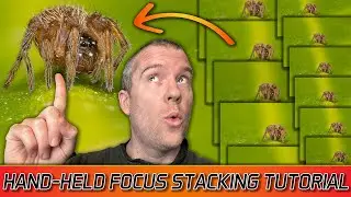 Hand-held Focus Stacking Tips & Tricks for Macro & Sample Shots