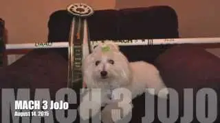 JoJo  MACH3 8 14 15