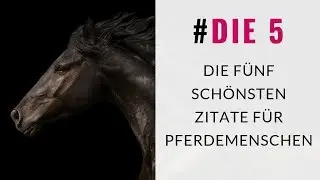 Die 5 schönsten Zitate für echte Pferdemenschen