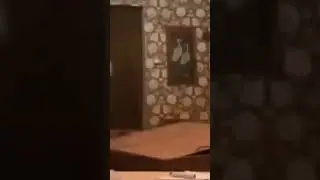 oi oi oi