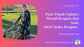 Post Flood Update, World Dragon Day Sale, Meet Iinka Dragon