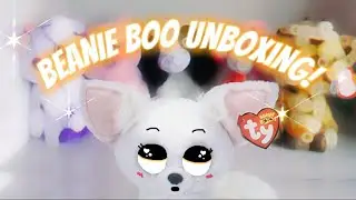New Beanie Boo Unboxing!