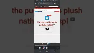 the pug nauttp sub go up #thepugnauttpgoto100subscribers