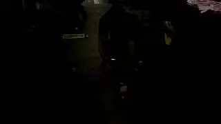 The fire horn