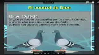 Reflexión sobre el control de Dios | Mateo 10:29-30
