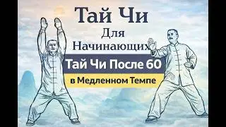 TAI CHI for Beginners | Just 12 Minutes a Day Will Restore Your Freedom of Movement!