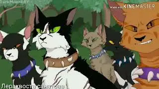 || Коты воители ||~клип ~{Run Away}