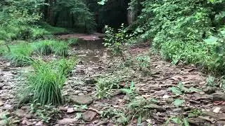 Artifacts: triangle blade / scraper, KY. Arrowhead Hunting