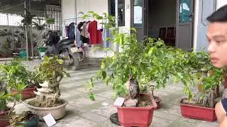 Sanh nam điền giá rẻ. Lh 0965.930.930