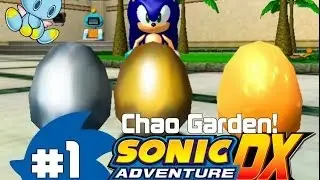 Sonic Adventure DX %100 Walkthrough - Chao Garden - Part 1