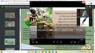 PEERTEACHING OLEH RESITA SANDRA,S.Pd.I Tema Bagian Tubuh Tumbuhan