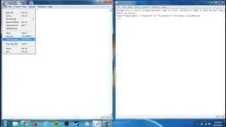 How to write code in Python 