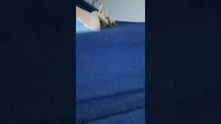 luccas e bia