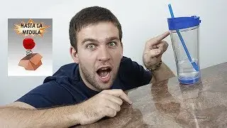El vaso que no se vuelca - MIGHTY MUG