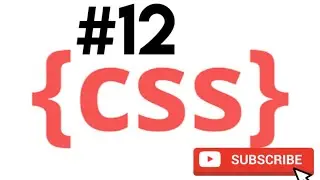 CSS Tutorial: CSS Margins and Padding| Web Development Tutorials #31