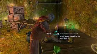 Master Neloth about Savos Aren. Skyrim Special Edition