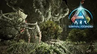 Taking On The Brood Mother! Ark Survival Ascended [EP12]