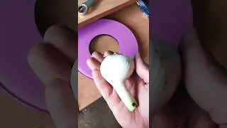 Размер и вес чеснока на 18 июня. #чеснок #овощи #garlic