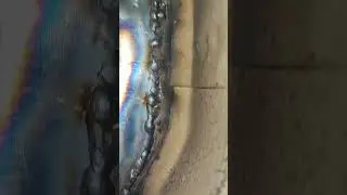 Варю Гнилую ниву