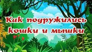 КАК ПОДРУЖИЛИСЬ КОШКИ И МЫШКИ |детские аудиокниги|.