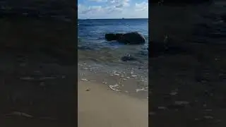 Балтийское море  Польша  Гдыня #море #польша #путешествия #travel #polska #gdynia #sea #morze #волны