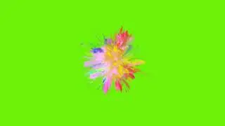 smoke bomb green screen videos