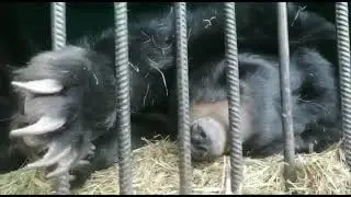 Юта и Волга