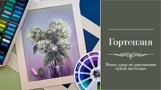 Как нарисовать гортензию сухой пастелью