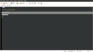 PHP Basics: Variables