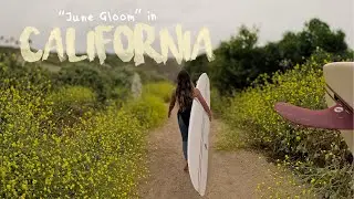 summer in California *June Gloom edition*