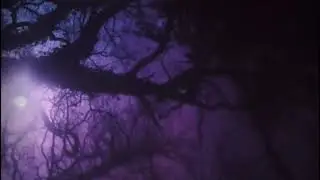 quiet the winter harbor - mazzy star (slowed)
