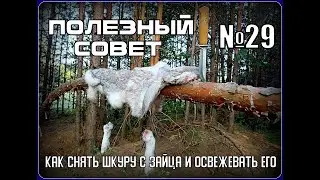 Как снять шкуру с зайца или освежевать тушу. Выживание. Полезный Совет №29
