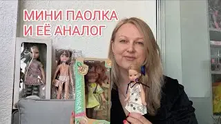 МИНИ ПАОЛКА И ЕЁ АНАЛОГ.