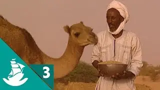 Date in the Desert - Now in High Quality! (Part 3/5)