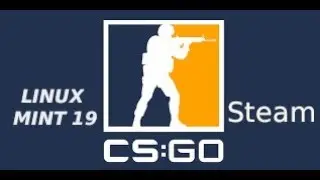 CSGO Steam Linux Mint 19