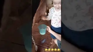 Ребенок доит корову