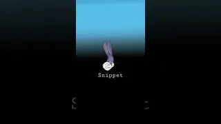 Snippet #1 