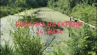 поставив екрани на 24 часа 