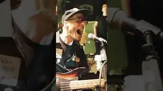 EVERYONE IS GOLDEN ☀️⭐ #portugaltheman #ptm #knikcountrytour #live