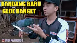 RUMAH BARU UNTUK MERPATIKU