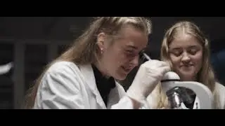 Vennesla videregående skole - presentasjon