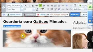 Creador Página Web: Modificar Textos