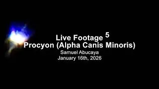 Live Footage - 5 Procyon (Alpha Canis Minoris)