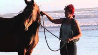 New paradigm horsemanship bitless beach ride
